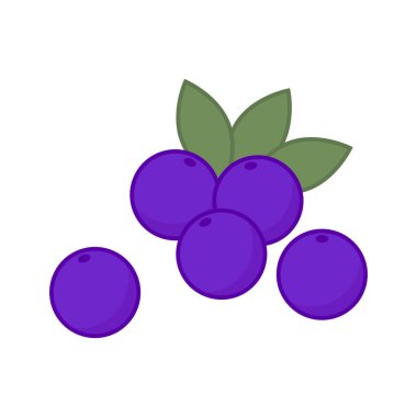 Yabanmersini vektörü. Beyaz arka planda yabanmersini. Sembol. logo tasarımı.