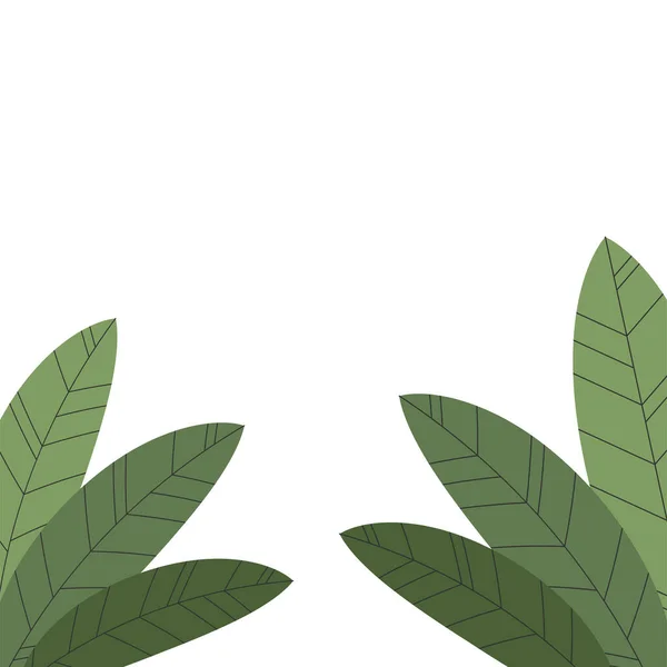 Grüner Blattrahmen Blätter Hintergrundtapete Tropische Blätter Isoliert Auf Weißem Hintergrund — Stockvektor