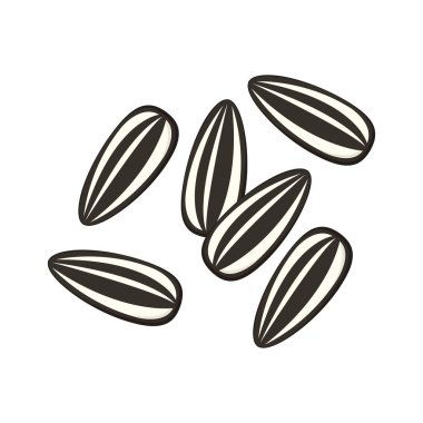 Ayçiçeği taşıyıcı tohumlar. Beyaz arkaplanda ayçiçeği tohumları.