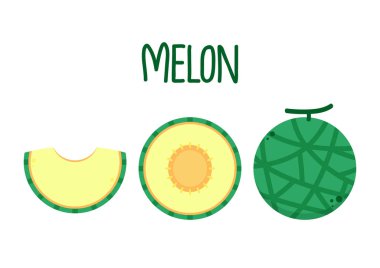 Kavun logosu vektörü. Beyaz arka planda kavun. Yarım kavun.