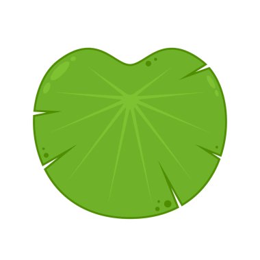Lily pad vektörü. Beyaz arkaplanda Lily çizgi film vektörü.