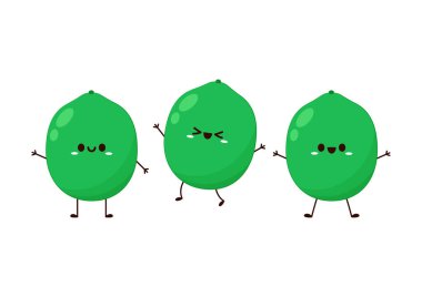 Beyaz arka planda nilüfer tohumları. Kutsal Nilüfer Çiçeği 'nin tohumları. Lotus tohumu karakter tasarımı. Tohum kabuğu çizgi filmi.