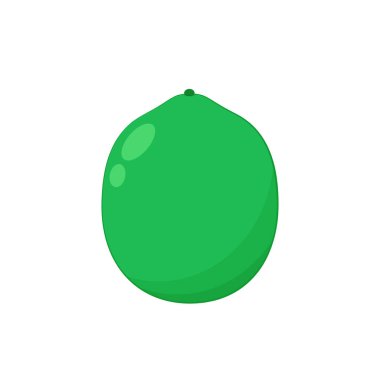 Beyaz arka planda nilüfer tohumları. Kutsal Nilüfer Çiçeği Tohumu.