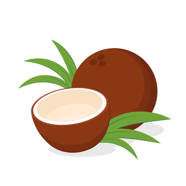 Hälften Kokosnöt Coconut Vektor Vit Bakgrund Realistisk Vektor Illustration Isolerad — Stock vektor