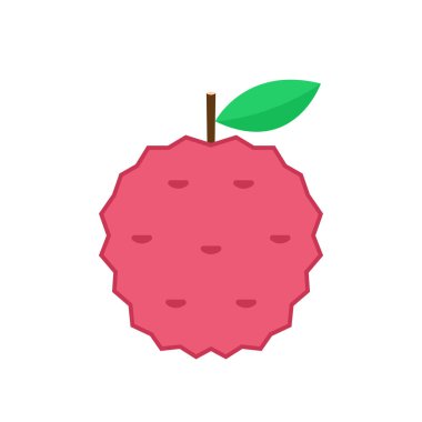 Lychee vektörü. Beyaz arkaplanda Lychee vektörü.