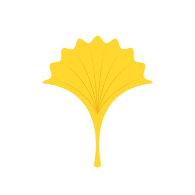 Ginkgo sembolü. Çizgi film düz sarı ginkgo biloba yaprağı beyaza izole edilmiş. Broşür organik ikonu. Kozmetik ve tıbbi bitki simgesi.