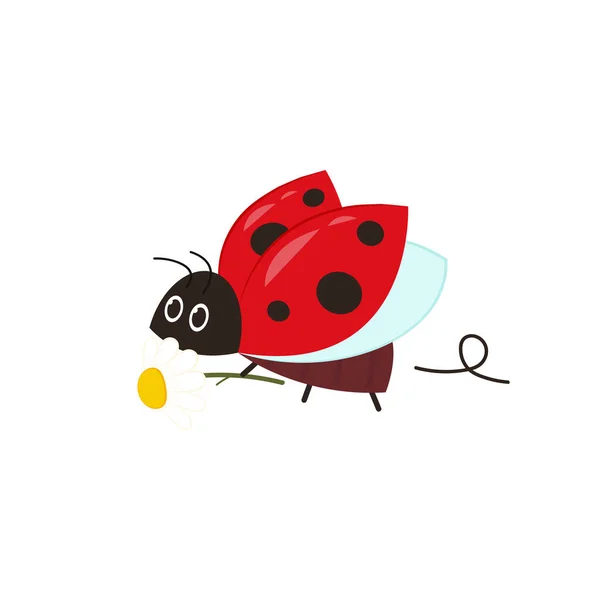 Ladybug Flower Vector Ladybug White Background Wallpaper Symbol — ストックベクタ