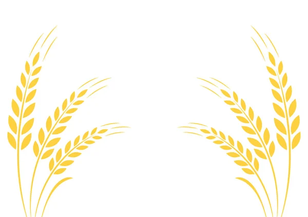 白色背景的小麦 小麦病媒 空余的文字空间 复制空间 小麦框架 — 图库矢量图片