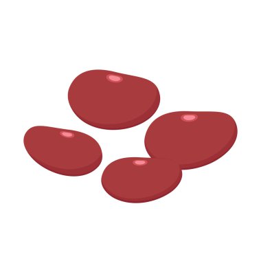 Beyaz arka planda böbrek fasulyesi. Böbrek fasulyesi. Duvar kağıdı. Metin için boş alan.