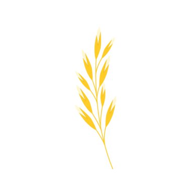 Pirinç sembolü Buğday sembolü vektörü. Duvar kağıdı. Logo tasarımı. Paddy vektörü.