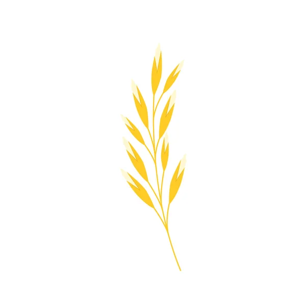 Pirinç Sembolü Buğday Sembolü Vektörü Duvar Kağıdı Logo Tasarımı Paddy — Stok Vektör