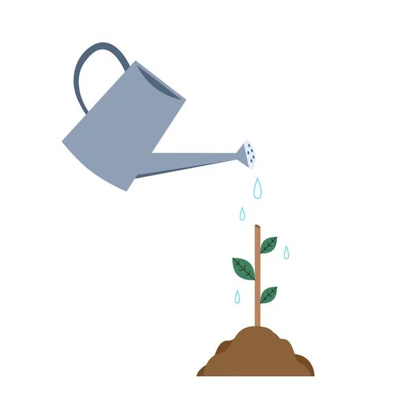 Limb Sapling Sapling Earth Vector Watering Can Vector — Vetor de Stock