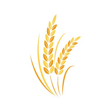 Pirinç sembolü Buğday sembolü vektörü. Duvar kağıdı. logo tasarımı.