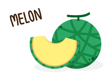 Kavun vektörü. Beyaz arka planda kavun. Duvar kağıdı. logo tasarımı. 