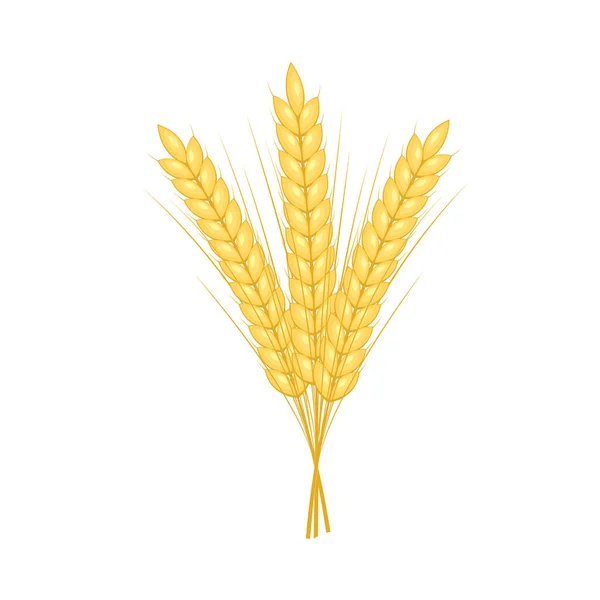 小麦花纹墙纸 小麦的象征空余的文字空间 米标志 米花纹壁纸 — 图库矢量图片