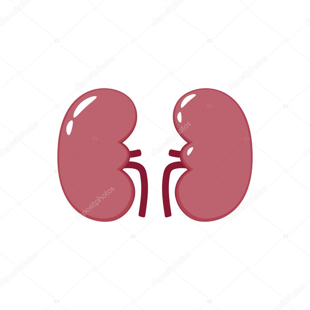 kidney cartoon vector. free space for text. wallpaper.