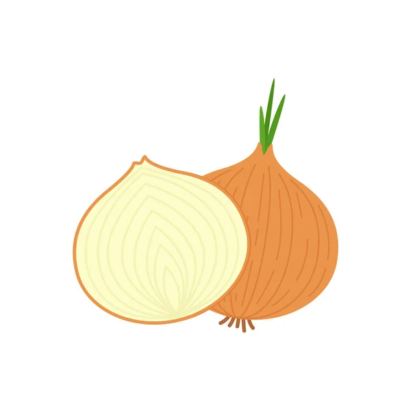Cartoon Brown Yellow Onions Set Whole Unpeeled Half Onion Rings — Stock Vector