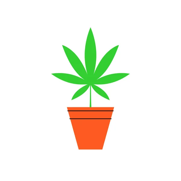 Marijuana Pot Bush Medical Cannabis Marijuana Cultivation Home Cannabis Farm — Stockvektor
