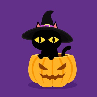 Cute black cat in a witch hat sitting in Halloween day. black cat cartoon in Pumpkin head.