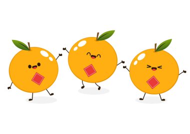 Mandarin orange on shadow flat design vector - illustration. Chinese New Year Mandarin Orange. Orange mascot.