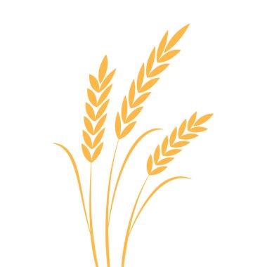 Pirinç sembolü Buğday sembolü vektörü. Duvar kağıdı. logo tasarımı.