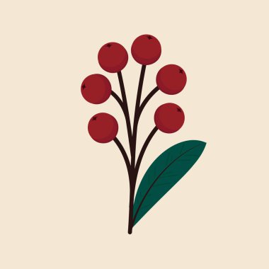 Noel meyvesi yaprakları izole edilmiş. Beyaz arka planda izole edilmiş şirin Holly. Vektör illüstrasyonu.