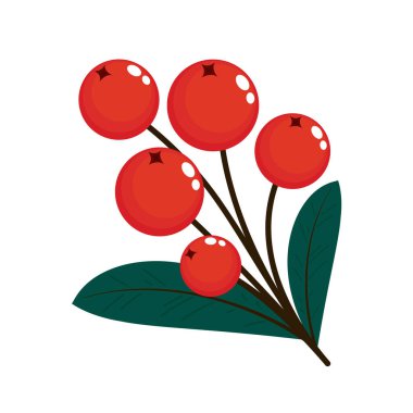 Rowan ağaç dalı beyaz bir arkaplanda izole edildi. Vektör çizimi. Rowan ağaç dalı vektörü.