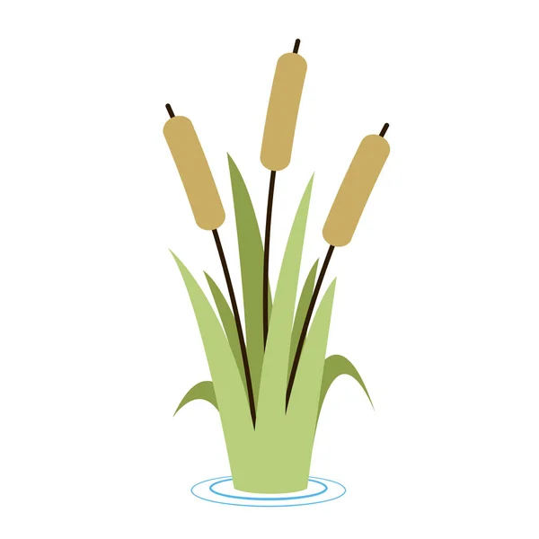 Reed Cattail Cane Platte Vectoricoon Illustratie Cartoon Gras Riet Stokken — Stockvector