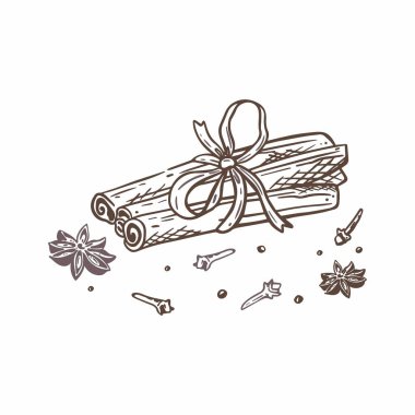 Baharatların vektör çizimi. Tarçın çubukları, karanfiller ve yıldız anason. Beyaz arka planda izole edilmiş mis kokulu doğu baharatları.