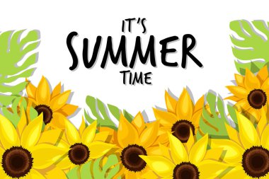 Beyaz arka planda ayçiçeği dallarının yaz tatili afişi. Vektör illüstrasyonu.