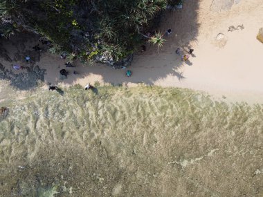 Baron Kukup Sepanjang Plajı 'nın panoramik güzelliği Gunung Kidul Regency, Yogyakarta Özel Bölgesi