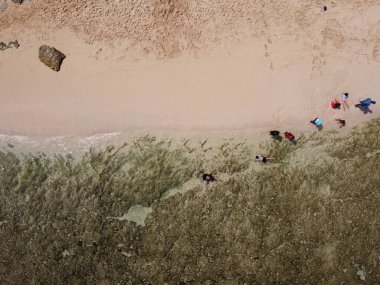 Baron Kukup Sepanjang Plajı 'nın panoramik güzelliği Gunung Kidul Regency, Yogyakarta Özel Bölgesi
