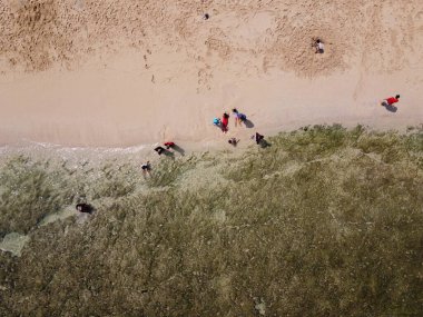 Baron Kukup Sepanjang Plajı 'nın panoramik güzelliği Gunung Kidul Regency, Yogyakarta Özel Bölgesi