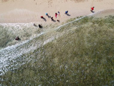 Baron Kukup Sepanjang Plajı 'nın panoramik güzelliği Gunung Kidul Regency, Yogyakarta Özel Bölgesi
