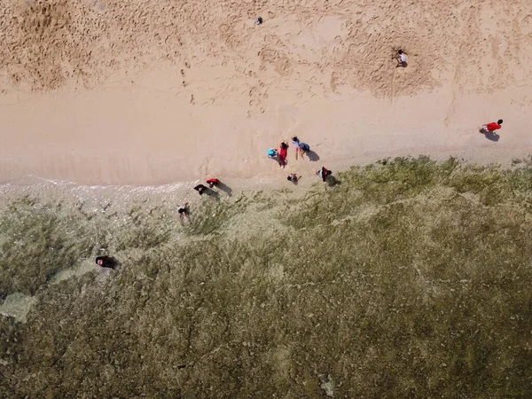 Baron Kukup Sepanjang Plajı 'nın panoramik güzelliği Gunung Kidul Regency, Yogyakarta Özel Bölgesi