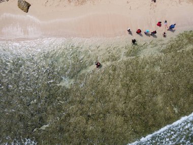 Baron Kukup Sepanjang Plajı 'nın panoramik güzelliği Gunung Kidul Regency, Yogyakarta Özel Bölgesi