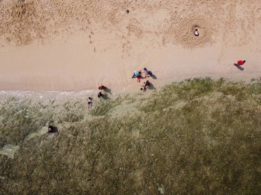 Baron Kukup Sepanjang Plajı 'nın panoramik güzelliği Gunung Kidul Regency, Yogyakarta Özel Bölgesi