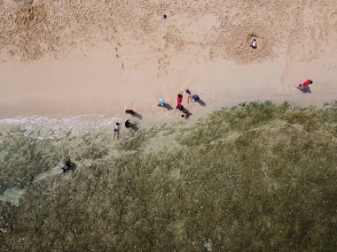 Baron Kukup Sepanjang Plajı 'nın panoramik güzelliği Gunung Kidul Regency, Yogyakarta Özel Bölgesi