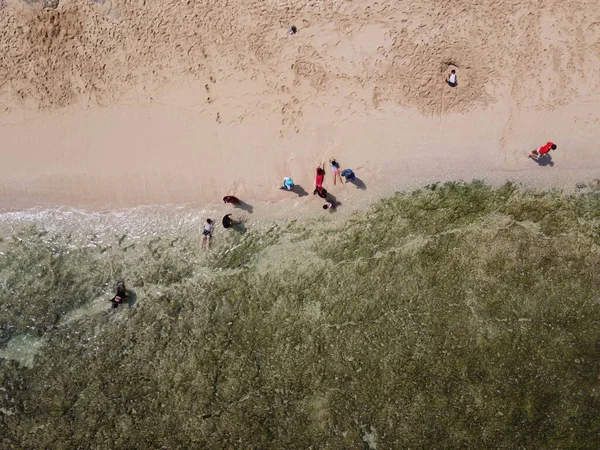 Baron Kukup Sepanjang Plajı 'nın panoramik güzelliği Gunung Kidul Regency, Yogyakarta Özel Bölgesi