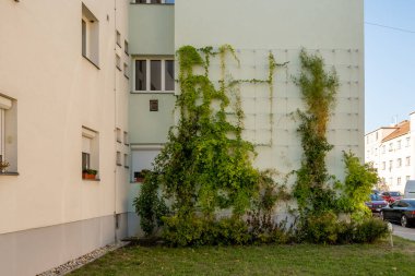 Viyana Favoriten 'de tırmanma tesisleri olan konut binalarına yeşil cephe