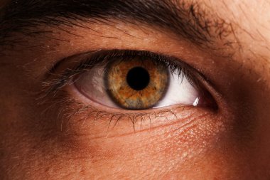 eye macro