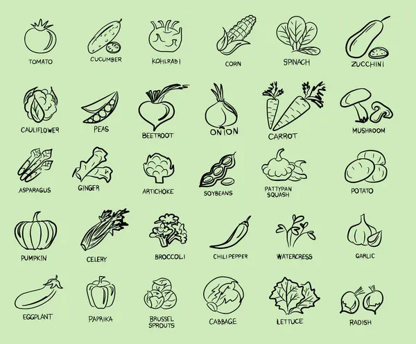 Vegán Ikonok Zöldségekkel Vegetáriánus Vegetáriánus Zöldségek Gombák Gyökerek Megfelelő Táplálkozás Vektor Grafikák