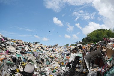 Afu, Brezilya, 11 Kasım 2021 Afu şehrinin açık hava çöplüğü, Maraj adası, Par eyaleti.