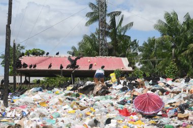 Afu, Brezilya, 11 Kasım 2021 Afu şehrinin açık hava çöplüğü, Maraj adası, Par eyaleti.
