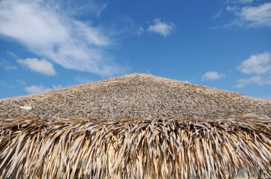 Brezilya 'nın kuzeyindeki Par eyaletinde, Alter do Cho' daki Acai ağacının sazdan tavanının ayrıntıları..