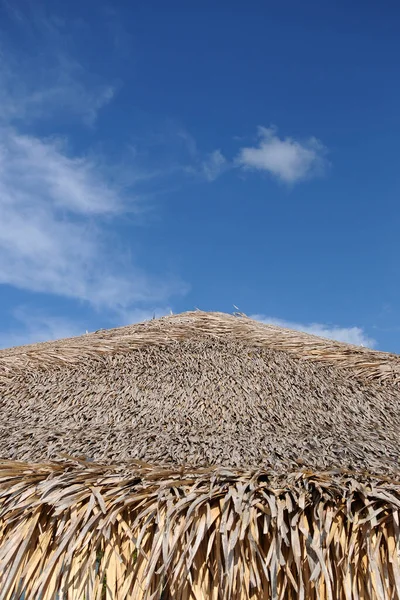 Brezilya 'nın kuzeyindeki Par eyaletinde, Alter do Cho' daki Acai ağacının sazdan tavanının ayrıntıları..