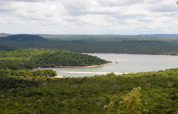 Άποψη Της Βλάστησης Της Σαβάνας Του Αμαζονίου Στην Πόλη Alter — Φωτογραφία Αρχείου