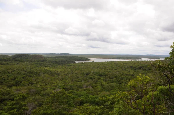 Uitzicht Amazone Savanne Vegetatie Stad Alter Cho Staat Par Brazilië — Stockfoto