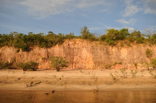 Alter Cho Par Brazilië Falsia Aan Oevers Van Tapajs Rivier — Stockfoto