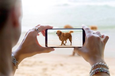 She is photographing a dog on the beach. Woman taking a photo with the camera of a smartphone. Shooting a picture of her pet with a mobile phone.